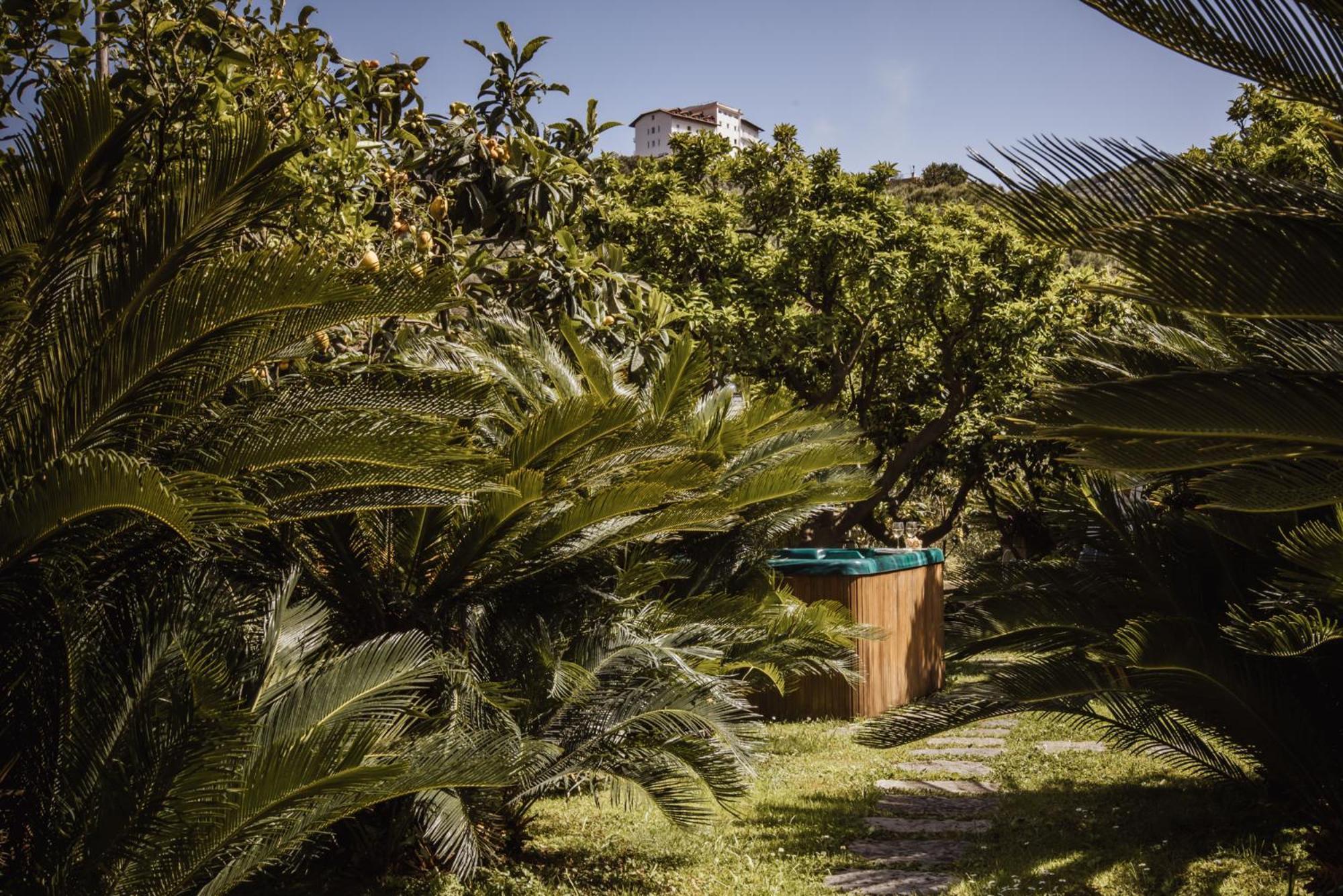 Villa Gallone Sorrento Buitenkant foto